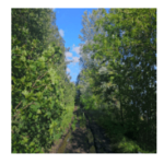 lösung 500 antworten fun