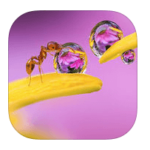 130 Foto Kreuzworträtsel lösung