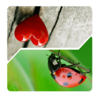 400 + wörter 2 lösung