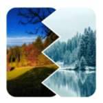 lösung 460 wörter 3