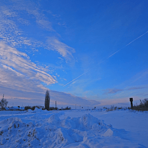 500 antworten winter losüng