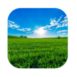 Mehr Als 100 lösung