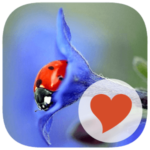 616 Wörter Lösungen