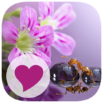 126 FW Puzzles Antworten