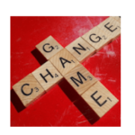 155 Foto-Kreuzworträtsel Lösungen