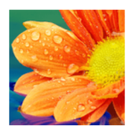 losungen 665 Wörter