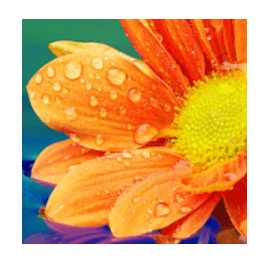 losungen 665 Wörter