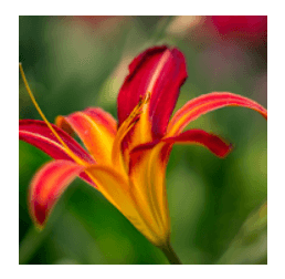 667 Wörter Lösungen