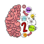 Brain Test 2 Lösungen